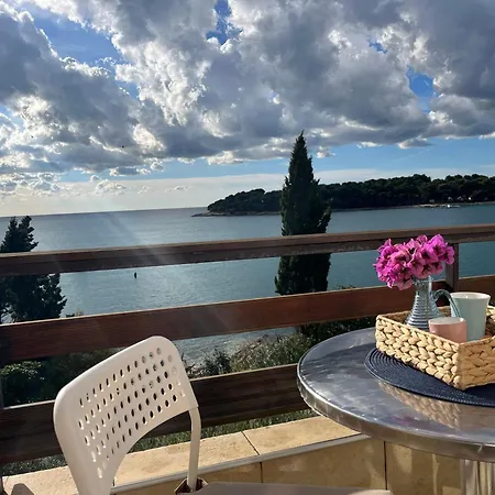 Apartment Marijana Mit Meerblick